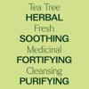 Plant Therapy Tea Tree Essential Oil 100% Pure, Undiluted, Natural Aromatherapy, Therapeutic Grade 30 mL (1 oz) view 4