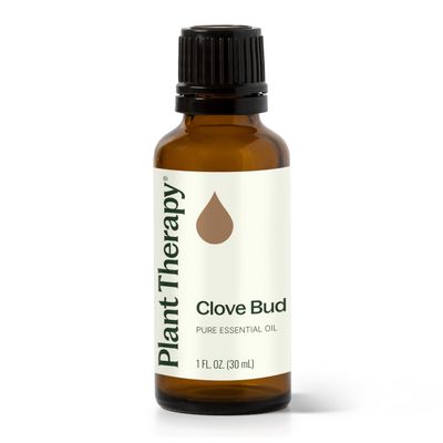 Plant Therapy Clove Bud Essential Oil 30 mL (1 oz), 100% Pure, Undiluted, Natural Aromatherapy, Immune Support, Sore Muscle & Joint Relief
