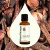 Plant Therapy Clove Bud Essential Oil 30 mL (1 oz), 100% Pure, Undiluted, Natural Aromatherapy, Immune Support, Sore Muscle & Joint Relief view 3