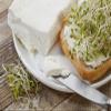 Cultures for Health Cream Cheese Starter Culture | 4 Non-GMO Direct-Set Packets & 2 Vegetable Rennet Tablets | DIY Creamy Spread for Bagels, Appetizers, Dips & Cupcake Frosting view 4