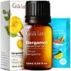 Gya Labs Bergamot Essential Oil - 0.34 Fl Oz - for Hair, Skin, Diffuser, Aromatherapy & DIY Candle Making Scent view 1