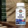 KAL Vitamin B12 Methylcobalamin and Adenosylcobalamin 2000 mcg ActivMelt, B12 Energy Supplements, Metabolism, Nerve, Red Blood Cell Support, High Absorption, Natural Berry, 60 Serv, 60 Micro Tablets view 4