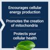 Life Extension Mitochondrial Energy Optimizer with PQQ - Energy Supplement for Healthy Mitochondria - With Taurine, Vitamin B, Pyrroloquinoline Quinone - Gluten-Free, Non-GMO - 120 Vegetarian Capsules view 4