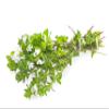 Health Embassy Eyebright Herb | Euphrasia officinalis L | Herbal Tea (100g) view 4