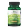 Swanson Dr. Stephen Langer's Formula - Natural Probiotic w/Prebiotic FOS - 16-Strain Supplement Promoting Digestive Support w/ 3.2 Billion CFU per Capsule - (60 Veggie Capsules) view 1