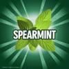 ECLIPSE Spearmint Sugar Free Chewing Gum Bulk Pack, 18 Piece, (8 Pack) view 3