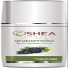 Oshea Herbals Grapes and Wheatgerm Moisturising Lotion(120 Ml)