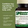 Standard Process Wheat Germ Oil Fortified - Immune Support Supplement to Aid Antioxidant Activity - Gluten-Free, Non-Dairy & Non-Soy - 80 Softgels (80 Servings) view 4
