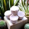 Cascarilla - Efun - White Eggshell Powder ~ 5 Pack view 2