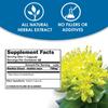 VH Nutrition RHODIOLA | Rhodiola Rosea Supplement | 3% Salidrosides Standardized Extract | 60 Easy-to-Swallow Capsules view 4
