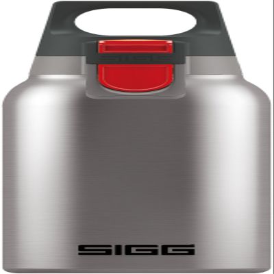 SIGG - Insulated Water Bottle - Thermo Flask Hot & Cold ONE Brushed - with Tea Infuser - Leakproof - BPA Free - 18/8 Stainless Steel - 10 oz