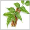 10 Chewing Sticks Of NEEM DATUN ORAL HERBAL TEETH & TONGUE CLEANER Traditional Teeth Cleaning Twig Prevent Tooth Decay And Gum Toothbrush Chew Sticks Natural Wild Organic Traditional view 1