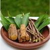 10 Chewing Sticks Of NEEM DATUN ORAL HERBAL TEETH & TONGUE CLEANER Traditional Teeth Cleaning Twig Prevent Tooth Decay And Gum Toothbrush Chew Sticks Natural Wild Organic Traditional view 2