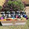 Office Party Coffee Gift Basket | Coffee Beanery | Enough for the whole office to share view 2
