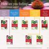 Traditional Medicinals Tea Throat Coat view 2