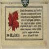 The Original Maple Tea in Wood Box - 100 Tea Bags view 2