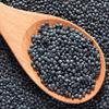 Black Beluga Lentils 5 Pounds Whole USDA Certified Organic, Non-GMO Bulk, Product of USA, Mulberry Lane Farms view 3
