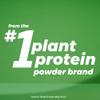 Orgain Organic Vegan Protein Almond Milk, Unsweetened Vanilla - 10g Plant Protein, Vitamin D & Calcium, No Lactose, Dairy & Soy Ingredients, Gluten Free, No Sugar Added, 32 Fl Oz (Pack of 6) view 4