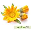 Arnica (Arnica Montana) Therapeutic Essential Oil (100 ml (3.38 Fl Oz)) view 2
