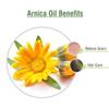 Arnica (Arnica Montana) Therapeutic Essential Oil (100 ml (3.38 Fl Oz)) view 3