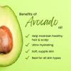 Avocado Carrier Oil  16 fl oz (473 ml) Plastic Jug w/Cap  100% Pure Carrier Oil - GreenHealth view 3