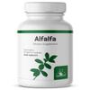 Graminex Alfalfa Tablets - Non-GMO Green Superfood Supplement with Vitamins, Minerals, Amino Acids - 240 Tablets view 1
