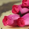 Realistic Bouquet of 8 Wire Stem Pink with Hot Pink Tips Roses in Cellophane Sleeve - So Realistic It is Hard to Believe They are Made from Thin Shaved Wood! view 3