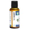 Earths Care 100% Pure Peppermint Essential Oil for Aromatherapy - 1 Fl OZ (1/pk) view 3