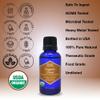 Organic, Clove Oil, Food Grade, for Teeth and Gums, Tooth Aches  100% Pure, Clove, Bud, Essential, Oil, by Zongle Therapeutics, 1 OZ view 3