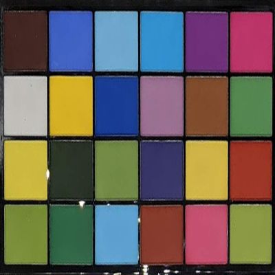 Petal Crafts Dust Coloring Set (24 Pack)