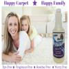 Premium Concentrate Carpet Shampoo, Removes Stains & Odors from Rugs, Mats & Upholstery, Deep Pet Spot Cleaner, Bissell & Hoover Steam Compatible | 1 Quart view 3