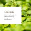 Young Living Essential Oil Blend | Refreshing & Soothing Aroma | 100% Pure Essential Oil for Home, Work, & Personal Use | Panaway | 5ml view 3