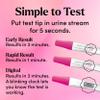 First Response Triple Check Pregnancy Test 3 ct. view 4