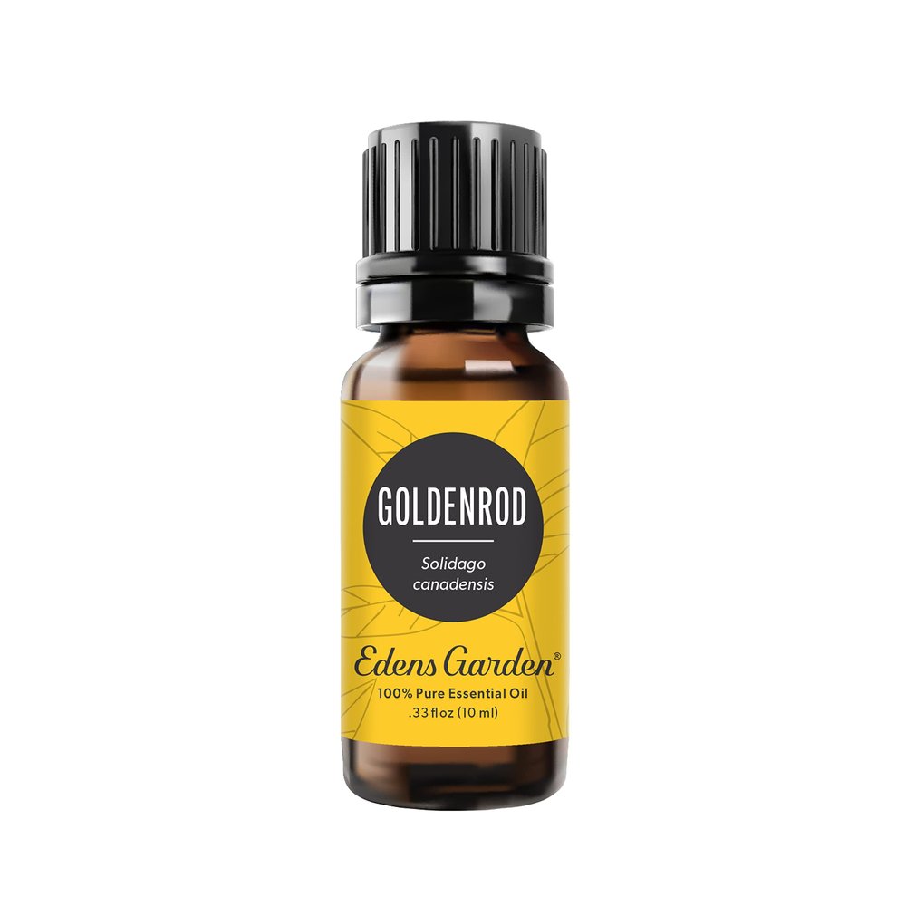 Edens Garden Goldenrod Essential Oil- 100% Pure Premium Grade, Undiluted, Natural, Therapeutic, Aromatherapy, The Best for Diffuser, Skin, Face, Humidifiers 10 ml (.33 fl oz)