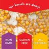 All in One Popcorn Packs - Wabash Valley Farms All Inclusive Popping Kits, Open Fire Pop, Popcorn Kernels for Outdoor Popping, Popcorn Kit, 10 Pack Kit view 3