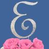 Fully Covered in Crystal Monogram Wedding Cake Topper Letter - Letter E view 1