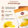 Wellsley Farms Dried Mango Slices - Non-Acidic Soft Chewy Dry Mango - Fat Free & High in Vitamin C - Good Source of Fiber - Dried Mango Snacks in Resealable Pouch for Travel & Lunch - 30oz (1 Pack) view 3