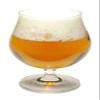 Enfant Terrible Belgian Golden Strong Ale, Beer Making Extract Kit view 4