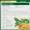 Traditional Medicinals Organic, Lemon Balm - Supports Stress Relief & Digestive Health - Kosher, Non-GMO, Caffeine-Free, Compostable - 16 Tea Bags view 4