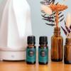Edens Garden Plai Essential Oil- 100% Pure Premium Grade, Undiluted, Natural, Therapeutic, Aromatherapy, The Best for Diffuser, Skin, Face, Hair 30 ml (1 fl oz) view 2