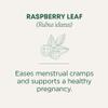 Traditional Medicinals Organic Raspberry Leaf Herbal Tea, Eases Menstrual Cramps & Supports Healthy Pregnancy, (Pack of 1) - 16 Tea Bags view 3