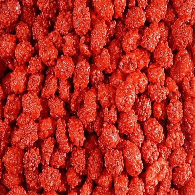 The Nutty Fruit House French Burnt Peanuts Candy (1 Pound (Pack of 1))