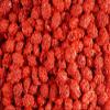 The Nutty Fruit House French Burnt Peanuts Candy (1 Pound (Pack of 1)) view 1