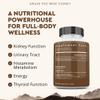 Ancestral Supplements Grass Fed Beef Kidney Supplement, 3000mg, DAO Enzyme Supplement, Kidney Support for Urinary and Histamine Health, Selenium, B12, Non GMO, 180 Capsules view 2