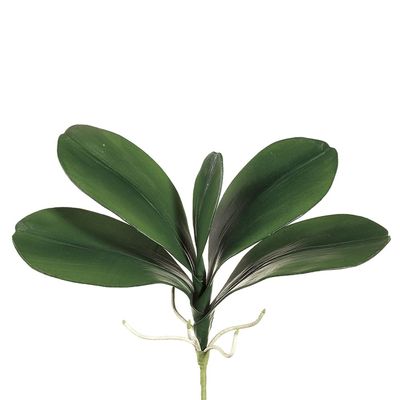 18" Phalaenopsis Orchid Leaf Plant x5 Green (Pack of 12)