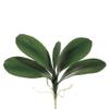 18" Phalaenopsis Orchid Leaf Plant x5 Green (Pack of 12) view 1