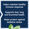 Life Extension N-Acetyl-L-Cysteine (NAC), Immune, Respiratory, Liver Health, NAC 600 mg, Potent antioxidant Support, Free-radicals, Easy to Absorb, 60 Capsules view 4