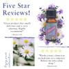 Absolute Aromas Relaxation Essential Oil view 4