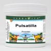 Pulsatilla Powder (4 oz, ZIN: 521212) - 3 Pack view 1