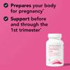 Theralogix TheraNatal Core Preconception Vitamin Supplement - 90-Day Supply - Prenatal Vitamins & Fertility Supplement for Women with Folate, Vitamin D3, Choline & More* - NSF Certified - 90 Tablets view 4